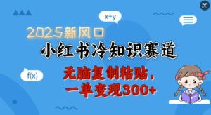 2025新蓝海，小红书的冷门知识跑道，没脑子拷贝，一单转现300-创业资源网