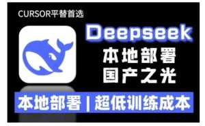 2025年deepseek R1 大型模型当地部署应用(文档 实例教程)本地部署,极低练习成本费-创业资源网