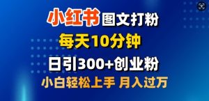 2月小红书的图文并茂磨粉,每日10min,日引300 自主创业粉,新手轻轻松松月收入过W-创业资源网