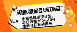 闲鱼平台挖金私域引流方案,从0逐渐轻松玩闲鱼平台,第二职业还可以赚到全职的薪水-创业资源网