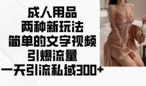 两性用品二种新模式,文字描述短视频引爆流量,一天引流方法公域300-创业资源网