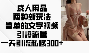 两性用品二种新模式,文字描述短视频引爆流量,一天引流方法公域300-创业资源网
