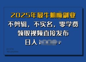 2025年最强第二职业,不视频剪辑,不实名认证,零培训费,零粉能做,领到短视频立即公布,有播放视频就会有盈利-创业资源网