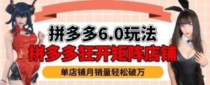拼多多平台虚拟物品爆利6.0游戏玩法，真正实现月入了W-创业资源网