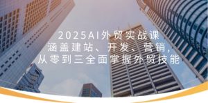 2025AI出口外贸实战演练课:包含建网站、开发设计、营销推广, 从零到三全面了解出口外贸专业技能-创业资源网