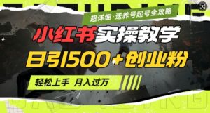 2月小红书最新日引500+创业粉实操教学【超详细】小白轻松上手,月入1W+,附小红书养号起号SOP-创业资源网