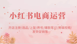 小红书电商经营：开实体店申请注册/选款/发布/起号/爆品手记/视频编辑/安排发货促销等-创业资源网