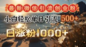 全新微信加粉自主创业粉,小白单日轻轻松松引流方法500 ,日增粉1000-创业资源网