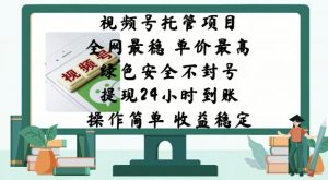微信视频号代管新项目,各大网站比较稳定,价格最大,绿色健康防封号,使用方便,收益稳定-创业资源网