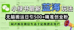 小绿书没脑子运送引流方法,自动式日引500精确自主创业粉,微信生态圈内又一个闷声发财的好机会-创业资源网