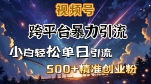 混合开发暴力行为引流方法,公域极致闭环控制,日引500 精确自主创业粉-创业资源网