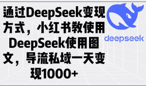 根据DeepSeek变现模式,小红书的教应用DeepSeek图文并茂,引流公域一天转现1000-创业资源网