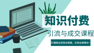 IP合作伙伴社交电商虚拟资源项目,引流方法与交易量课程内容,连通商业化变现全链路营销,实现业绩提高!-创业资源网