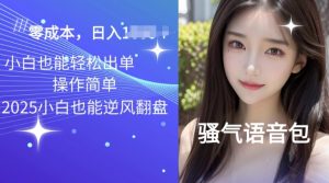 2025骚性导航语音包新项目，零基础小白单日转现好几张-创业资源网