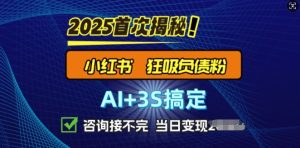 2025引流方法吊顶天花板:全新小红书的狂怒债务粉构思,资询接持续,当日入好几张-创业资源网