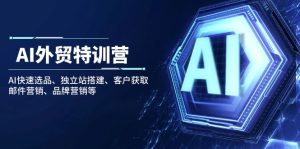 AI出口外贸夏令营:AI迅速选款、自建站构建、顾客获得、电子邮件营销、品牌推广等-创业资源网