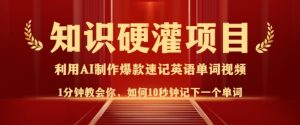 专业知识硬灌，10秒左右使你记牢一个单词，3min一个视频，日入好几张指日可待-创业资源网