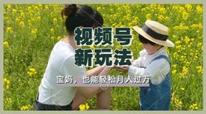 运用车祸事故意外视频,撸视频号分为盈利,轻轻松松月入了W,使用方便,适宜宝妈妈,工薪族-创业资源网