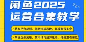 2025闲鱼电商运营全集，2025最新咸鱼玩法-创业资源网