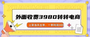 外边收费标准3980的走走电商玩法,发布当日开单,一单利润3张-创业资源网