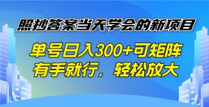 照搬回答当日懂得的新项目,运单号日入300 可引流矩阵,有手就行,轻轻松松变大-创业资源网