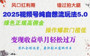 2025微信视频号纯自然流游戏玩法5.0,翠绿色靠谱高佣金,实际操作爆品成本低,转现盈利单月轻松突破万-创业资源网