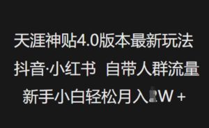 天涯神贴4.0版本号全新游戏玩法,抖音视频·小红书的内置群体总流量,新手入门轻轻松松月入了W-创业资源网
