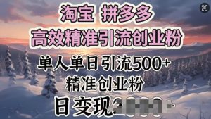 淘宝拼多多高效率精准引流方法自主创业粉,单人单日引流方法500 自主创业粉,日转现好几张-创业资源网