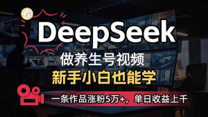 新手用DeepSeek做健康养生号,一条著作增粉5万 ,单日盈利过千-创业资源网