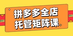 拼多多平台店铺代管引流矩阵课,赢利促销游戏玩法,高效率方案设定,提升店铺经济效益-创业资源网