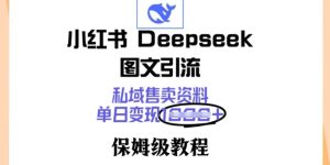 小红书的Deepseek图文并茂引流方法,公域出售材料,单日转现好几张,家庭保姆级实例教程-创业资源网