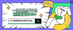 2025重磅消息各大网站独家代理引流法,一次全平台,轻轻松松日引300 精确自主创业粉-创业资源网