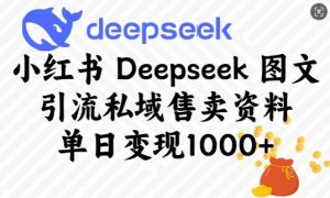 小红书的Deepseek图文并茂引流方法公域出售材料,单日转现好几张-创业资源网