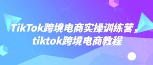 TikTok跨境电子商务实操训练营,tiktok跨境电子商务实例教程-创业资源网