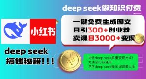 Deepseek一键完全免费形成小红书的图文并茂日引300 自主创业粉，日转现好几张实例教程，方式整个行业通用性！-创业资源网