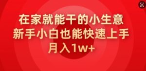 在家也能干的小生意，新手入门也可以快速入门，月入1w-创业资源网