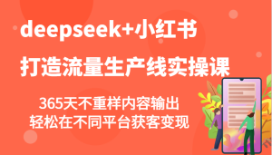 deepseek 小红书的打造出总流量生产流水线实操课,365天不重复价值输出,轻轻松松在不同平台拓客转现-创业资源网