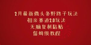 2月全新头条歪门邪道游戏玩法,相亲约会跑道2.0游戏玩法,没脑子拷贝,家庭保姆级实例教程-创业资源网