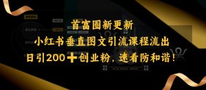 小红书的竖直图文并茂引流课程排出,日引200 自主创业粉,请查收防和睦-创业资源网