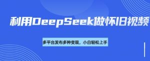 运用DeepSeek做怀旧视频,总流量号多种渠道变现力强-创业资源网