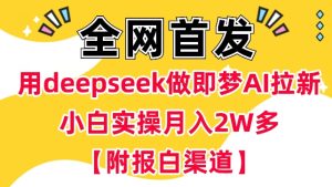 用deepseek做即梦Ai引流 新手实际操作月入了W 【附开通抖音小店方式】-创业资源网
