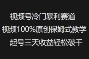 微信视频号小众爆利跑道短视频100%原创设计跟踪服务课堂教学养号三天盈利轻轻松松破千-创业资源网