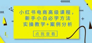 小红书电商高级课程,新手入门必会方式,实际操作课堂教学 经典案例-创业资源网