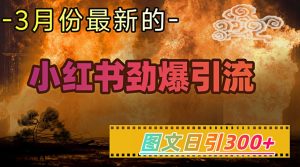 小红书的超劲爆引流方法方式,图文并茂日引300 轻轻松松转现1W-创业资源网