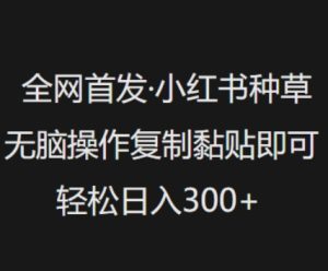 独家首发,小红书种草没脑子实际操作,拷贝粘贴就可以,轻轻松松日入3张-创业资源网