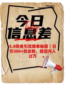 5.0闲鱼引流打造爆款秘笈，日引300 自主创业粉，平稳月入了W-创业资源网