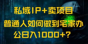 公域IP 卖项目，平常人怎样做到蹲在家里办公室完成日入1000-创业资源网