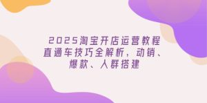 2025淘宝开店运营教程更新,直通车技巧全解析,动销、爆款、人群搭建-创业资源网