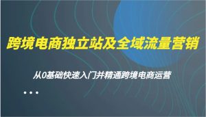 跨境电商电商独立站及全域流量营销推广，从0根本快速上手并熟练跨境电商运营-创业资源网