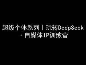 超级个体系列产品,轻松玩DeepSeek·自媒体平台IP夏令营,deepseek实例教程-创业资源网